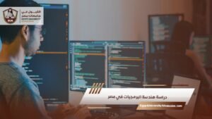 دراسة هندسة البرمجيات في مصر