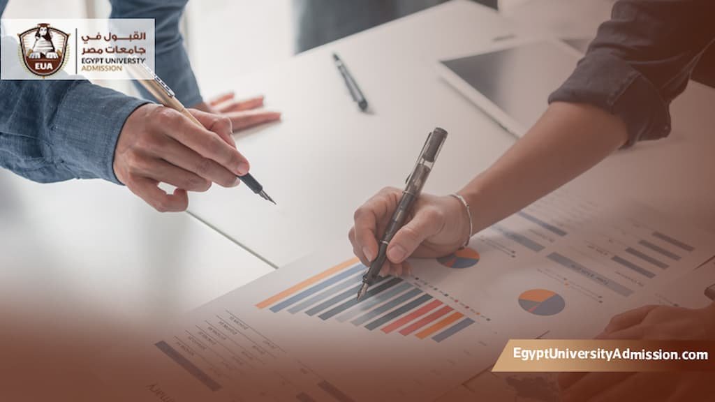 دكتوراه إدارة الأعمال جامعة القاهرة