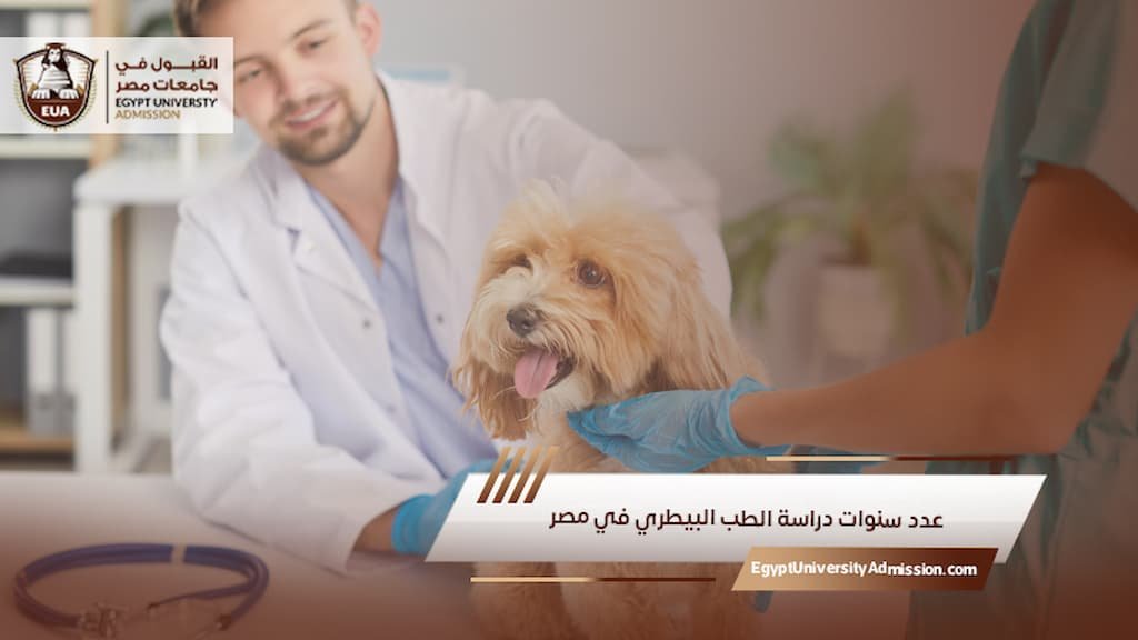 عدد سنوات دراسة الطب البيطري في مصر