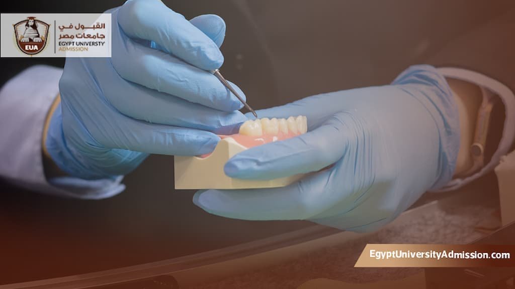عدد سنوات ماجستير طب الأسنان في مصر