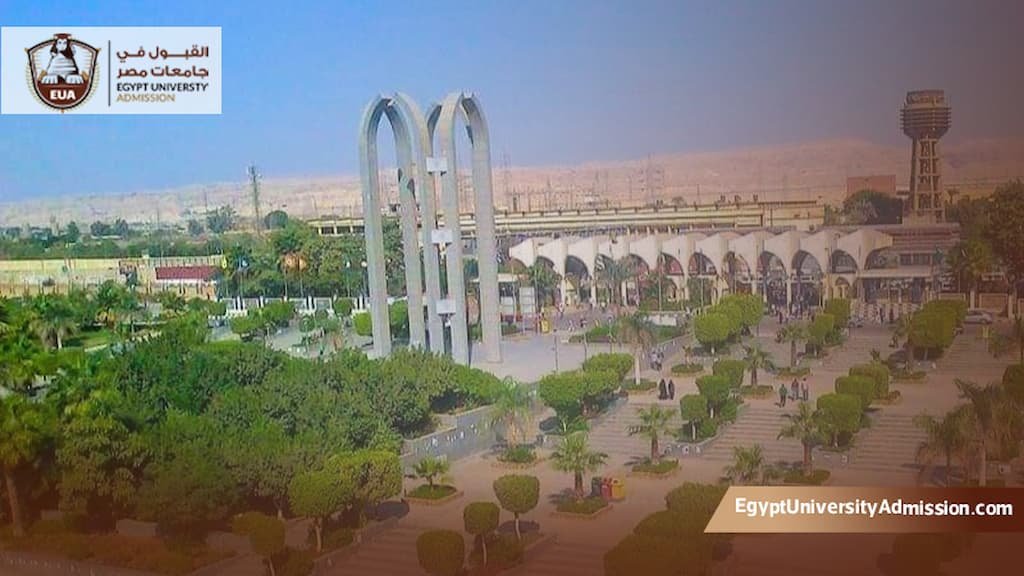 ماجستير اقتصاديات الصحة جامعة حلوان