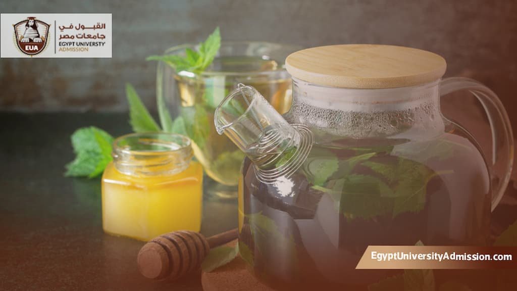 ماجستير التغذية العلاجية جامعة القاهرة