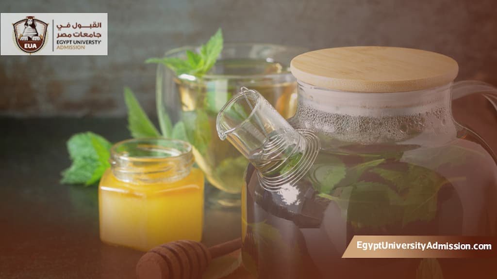 ماجستير التغذية العلاجية جامعة عين شمس