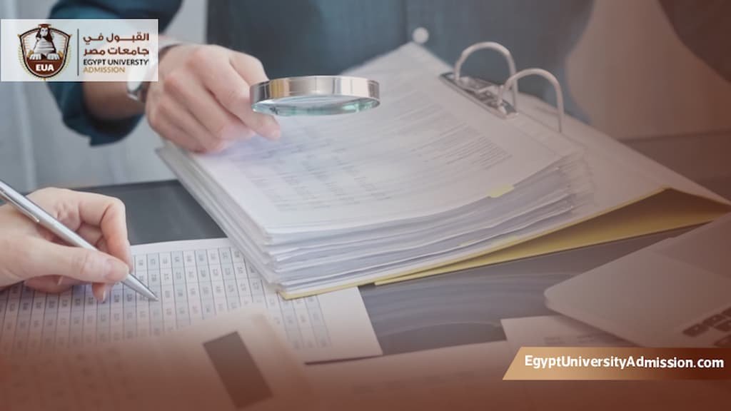 ماجستير المحاسبة القضائية التنفيذي