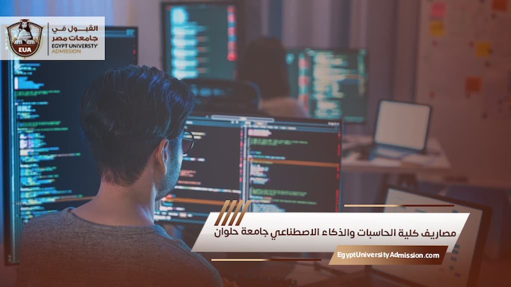 مصاريف كلية الحاسبات والذكاء الاصطناعي جامعة حلوان