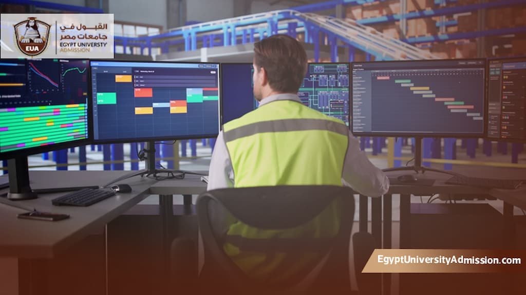 مصاريف كلية الحاسبات والذكاء الاصطناعي جامعة حلوان