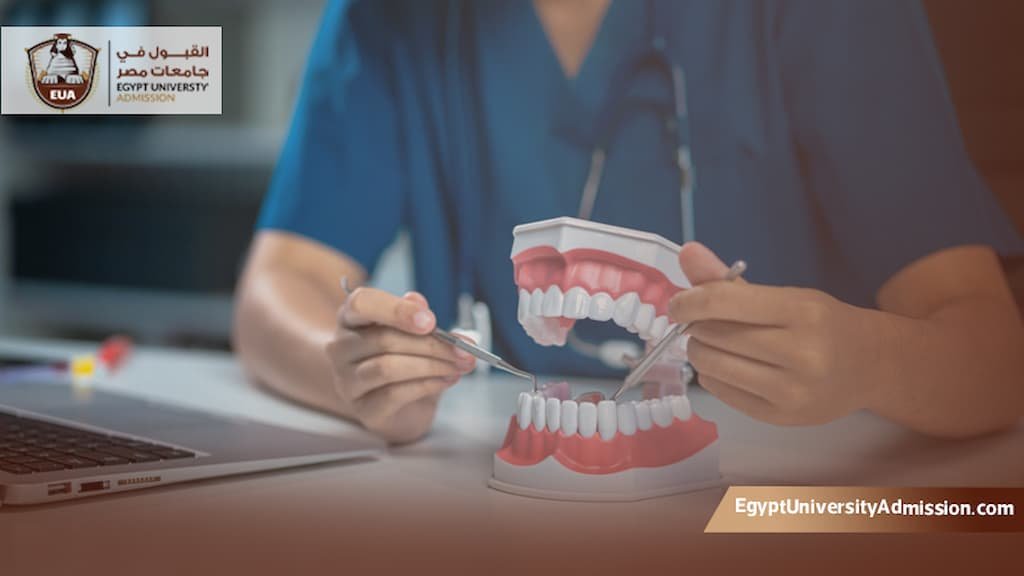 دراسة طب الاسنان في مصر