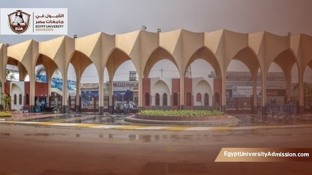 دليل الدراسات العليا جامعة حلوان