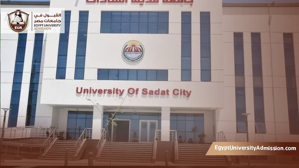 شروط تسجيل الدكتوراه حقوق السادات