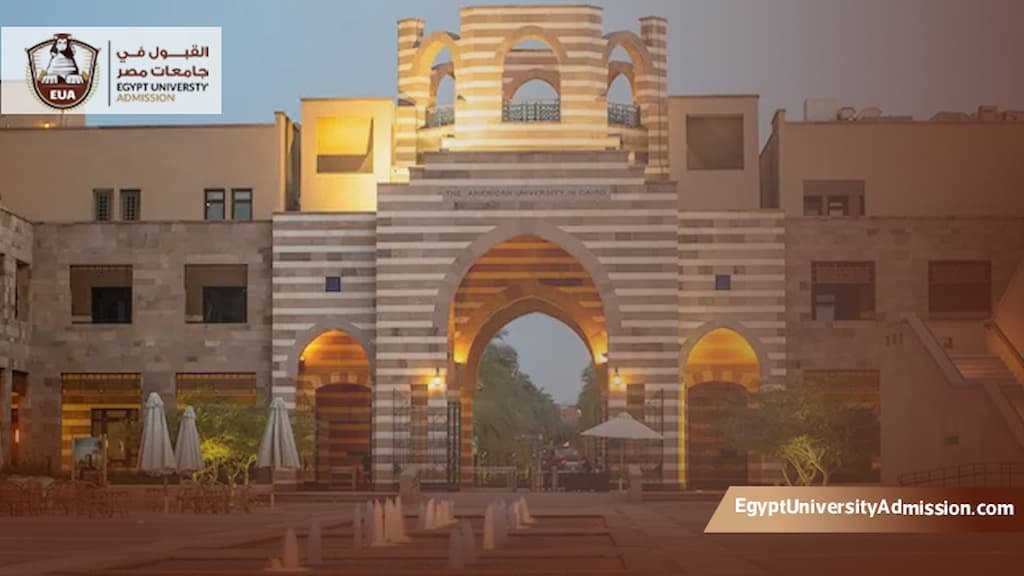 ماجستير إدارة الأعمال الجامعة الأمريكية