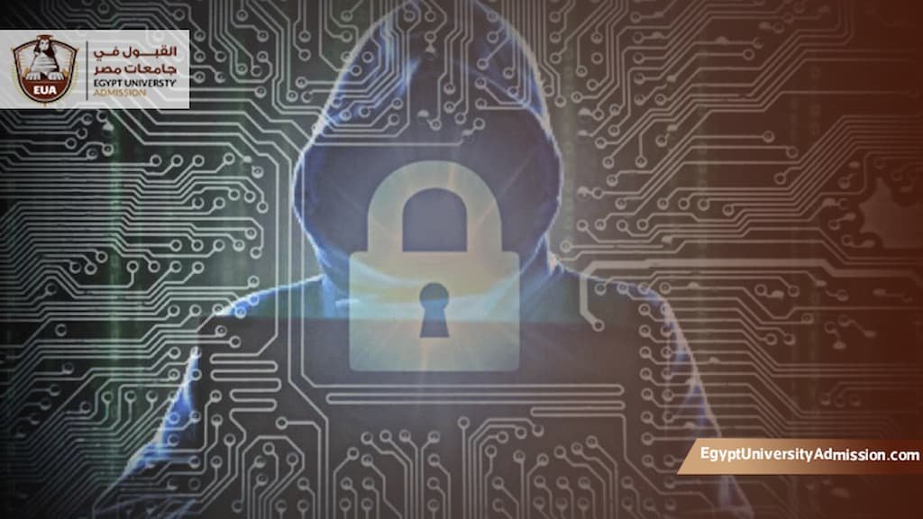 أفضل جامعة لدراسة الأمن السيبراني في مصر