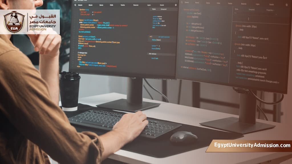 أفضل كليات البرمجة في مصر