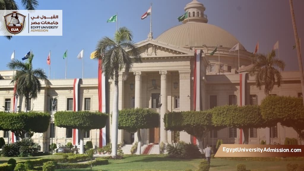 الأوراق المطلوبة للماجستير بجامعة القاهرة