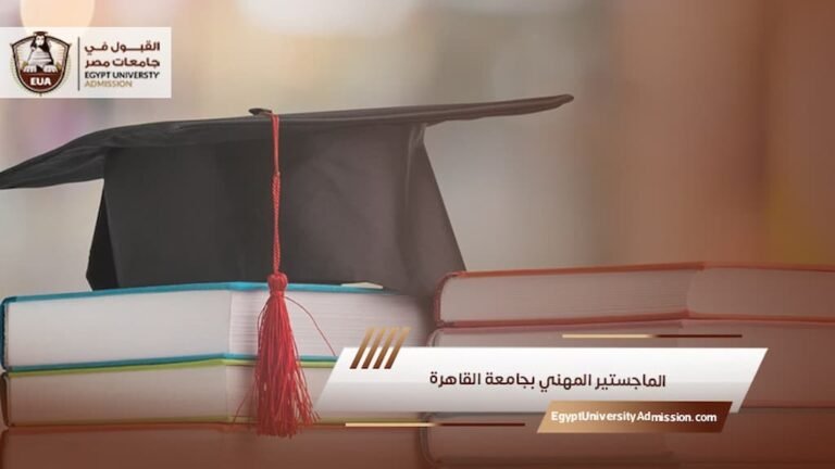 الماجستير المهني بجامعة القاهرة