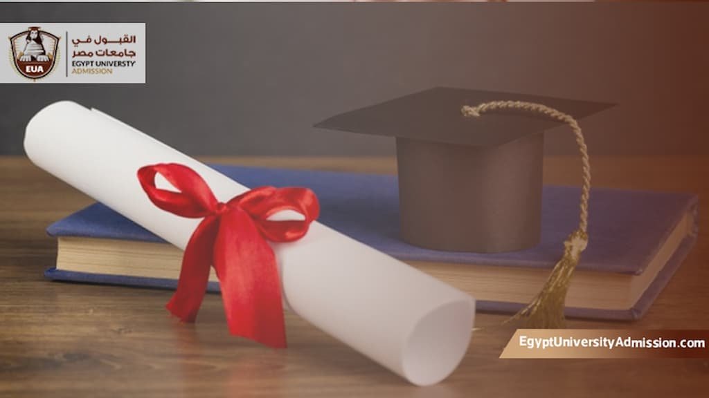 الماجستير المهني بجامعة القاهرة