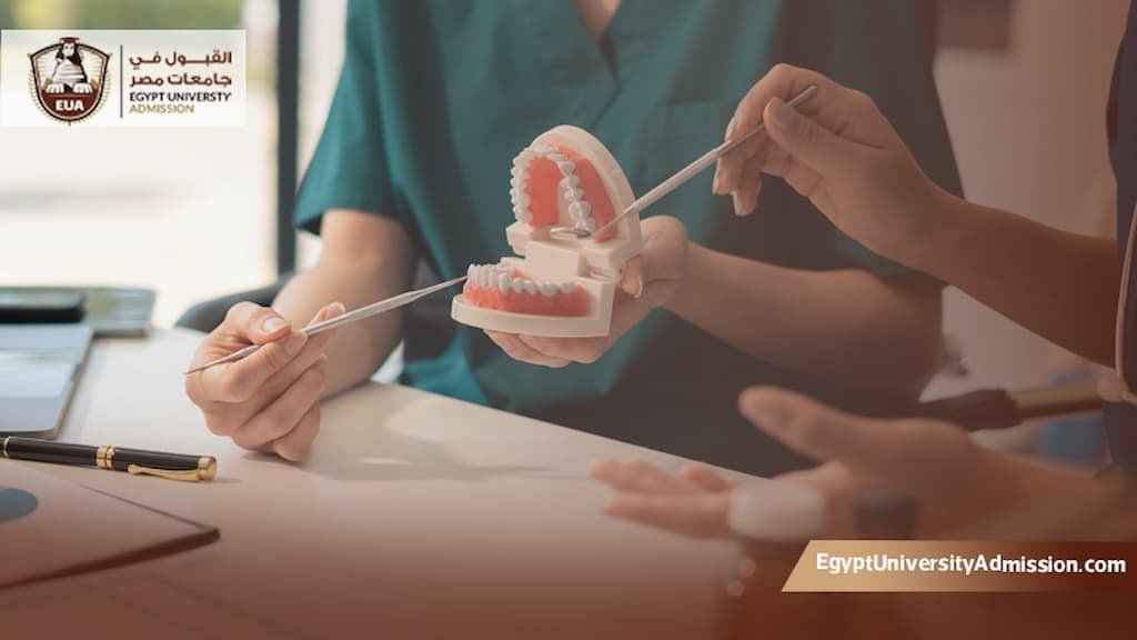 تكاليف دراسة ماجستير طب الأسنان في مصر