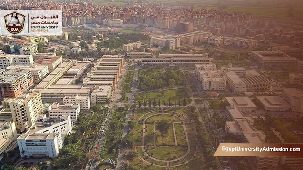 تمهيدي ماجستير كلية الآداب جامعة المنصورة