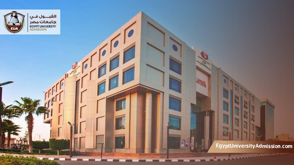 تخصصات هندسة جامعة مصر للعلوم والتكنولوجيا