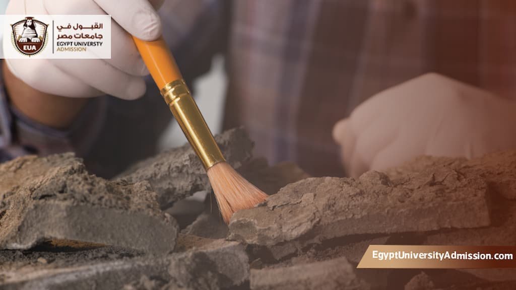 دراسة علم الآثار في مصر