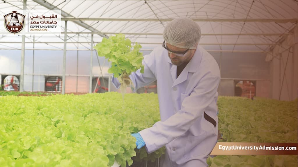 شروط الالتحاق بكلية الهندسة الزراعية