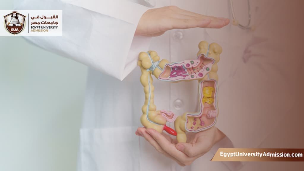 طب المناطق الحارة والجهاز الهضمي