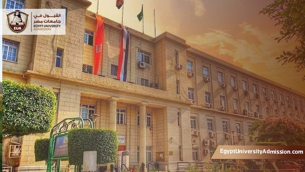 كليات الاقتصاد والعلوم السياسية في مصر