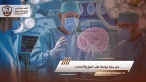 كم سنة دراسة طب المخ والاعصاب