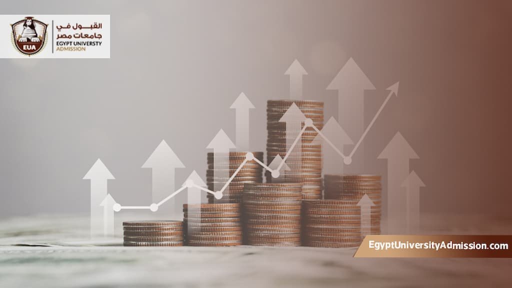 ماجستير إدارة مالية عن بعد