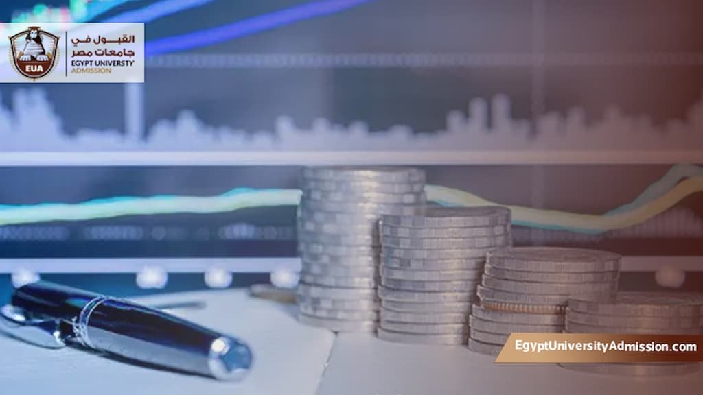 ماجستير الاقتصاد في مصر