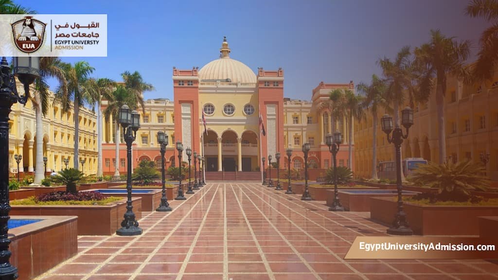 ماجستير الجامعة البريطانية في مصر