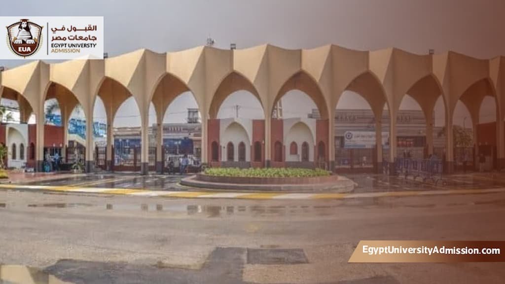 معادلة الماجستير المهني بالاكاديمي جامعة حلوان