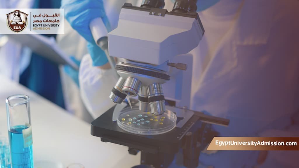 مميزات وعيوب تخصص الباثولوجي