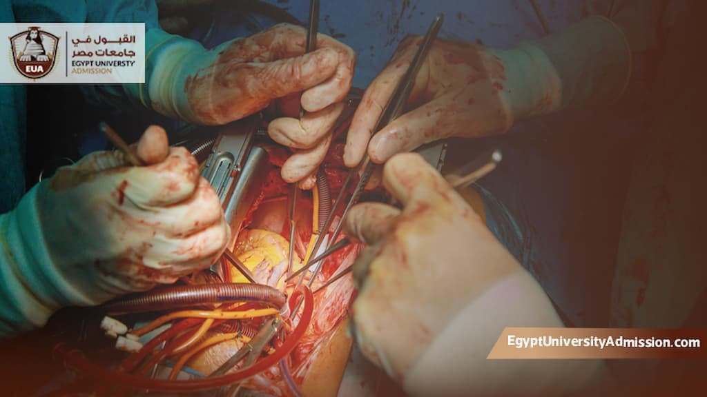 مميزات وعيوب تخصص جراحة القلب