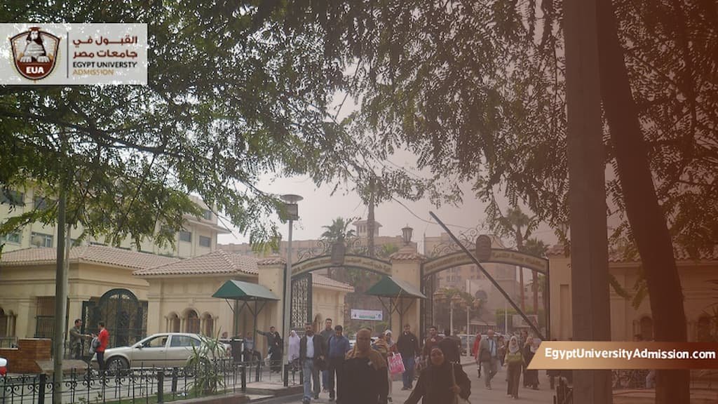 نظام الدراسة في كلية طب القصر العيني