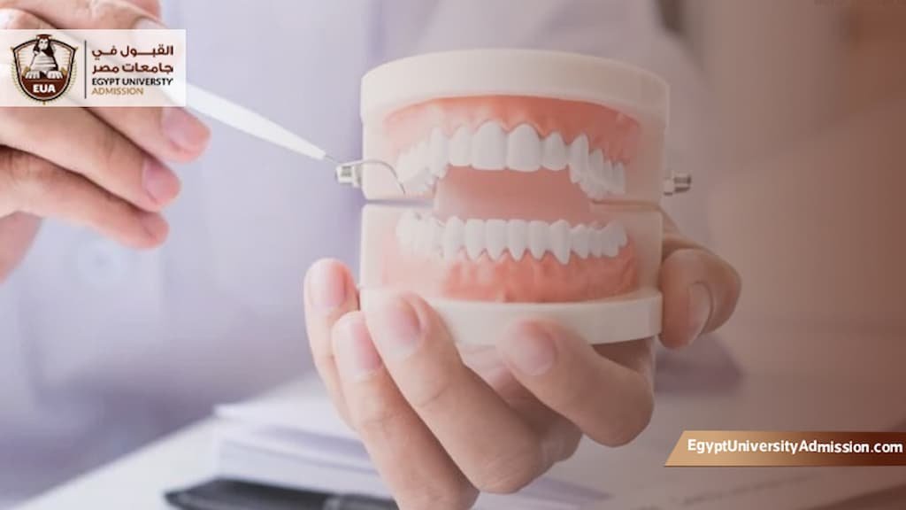 أرخص دولة لدراسة ماجستير طب الأسنان