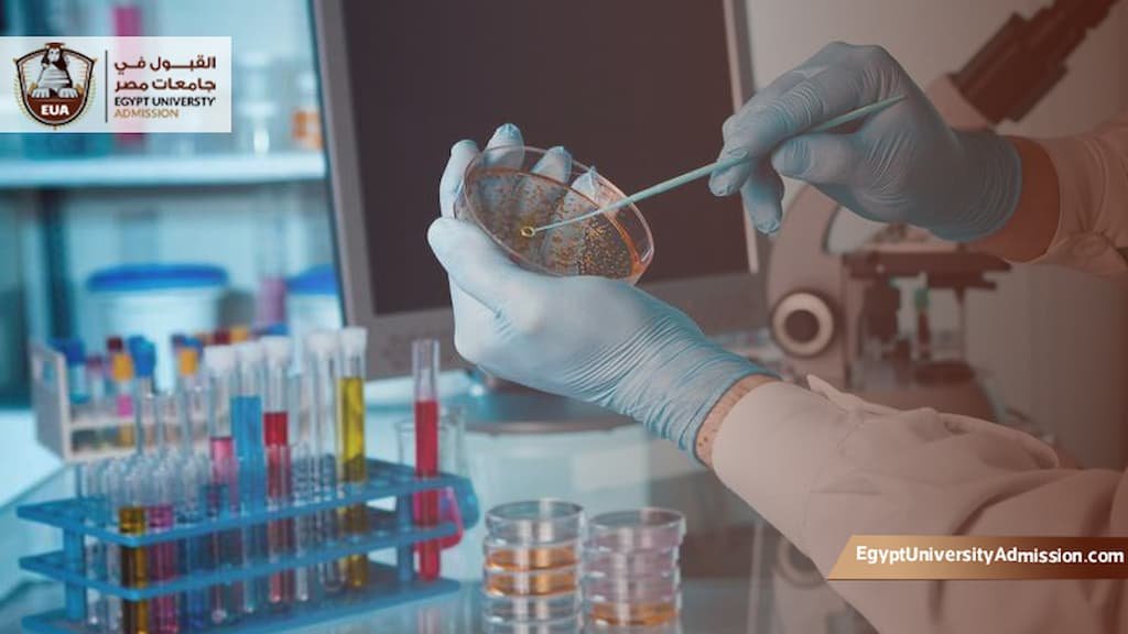 أفضل تخصص في المختبرات الطبية