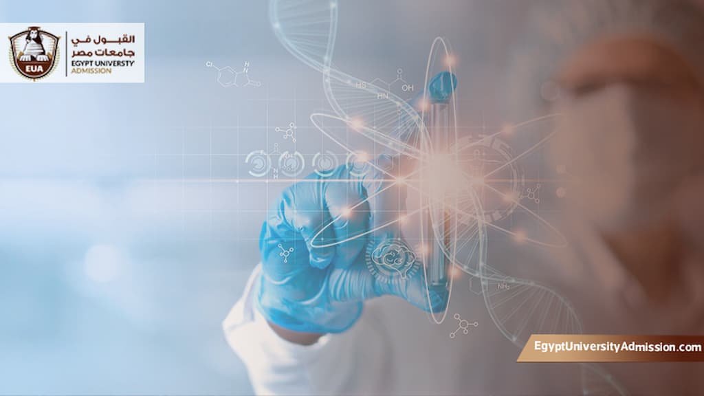 الأوراق المطلوبة للتقديم في كلية العلوم الصحية في مصر