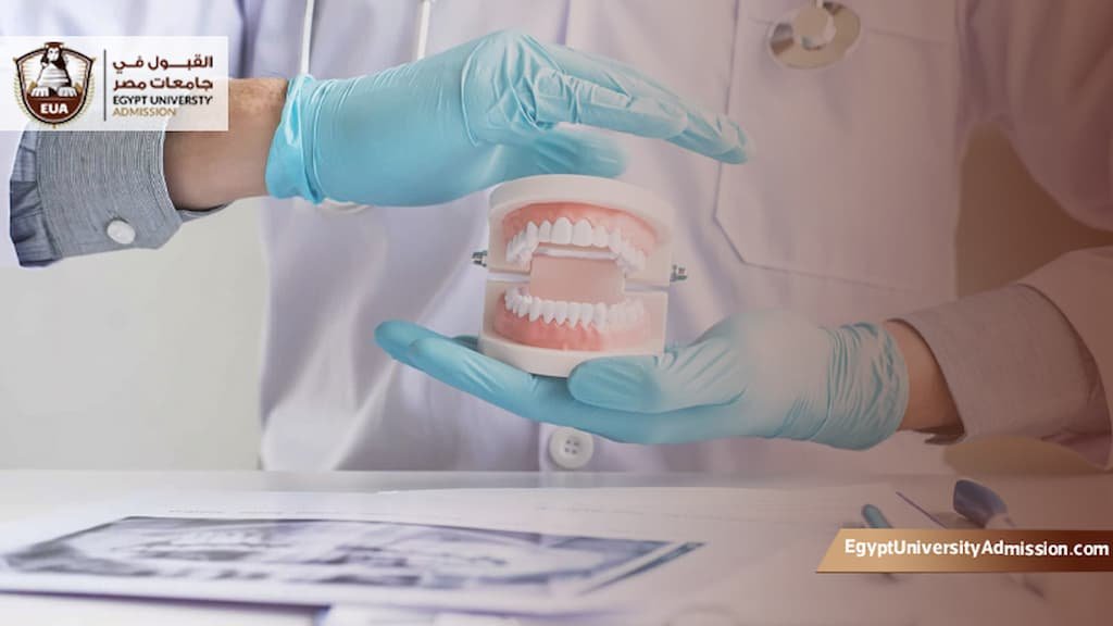 البورد العربي لجراحة الوجه والفكين معهد ناصر