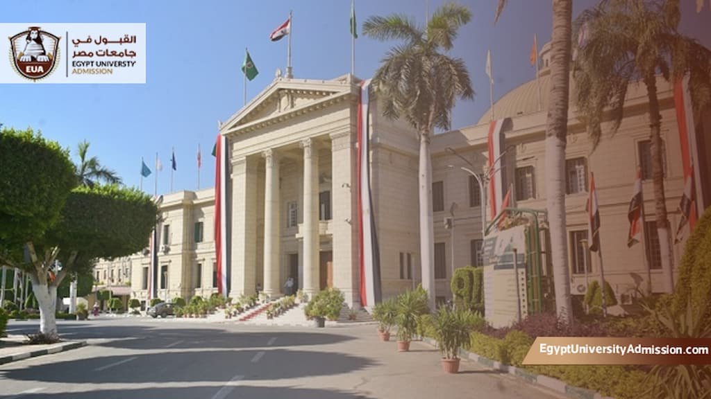 الدراسات العليا كلية التجارة جامعة القاهرة