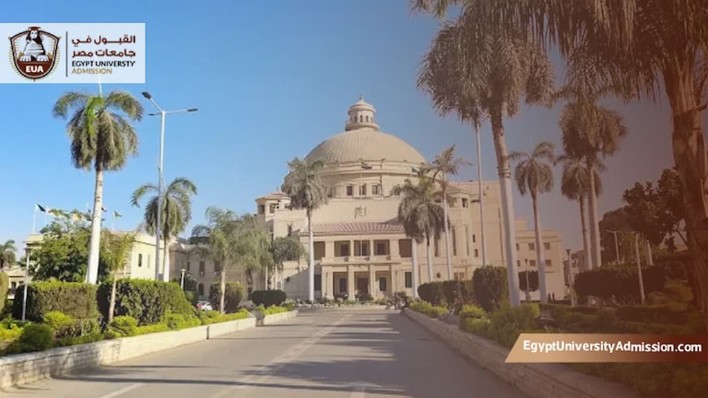 الدراسة في مصر للسوريين