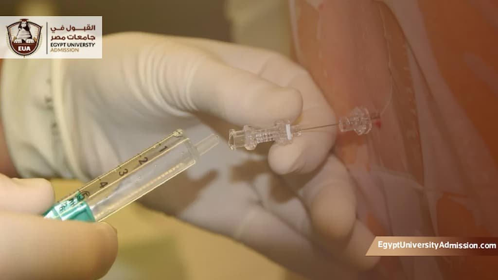 الزمالة المصرية للتخدير