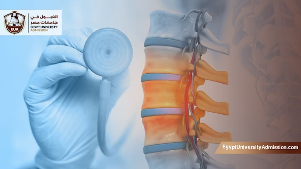 تخصص جراحة العظام في مصر