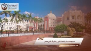 تخصصات الجامعة البريطانية في مصر