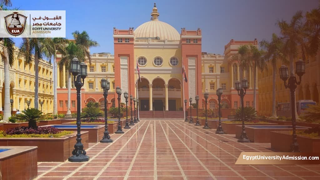 تخصصات الجامعة البريطانية في مصر