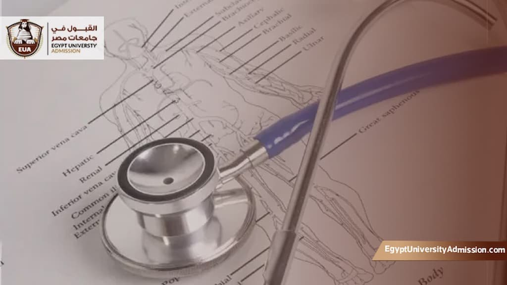 تخصصات الطب البشري في مصر
