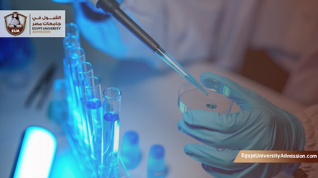 تخصصات كلية العلوم الصحية في مصر للسعوديين