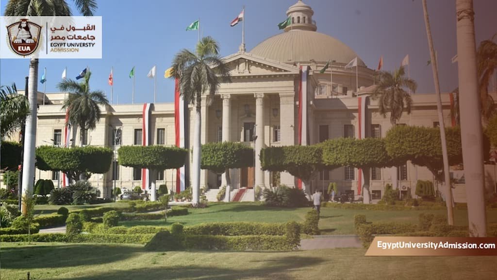 تسجيل الجامعات المصرية للوافدين