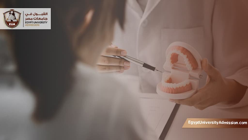 تكلفة دراسة طب الأسنان في مصر لغير المصريين