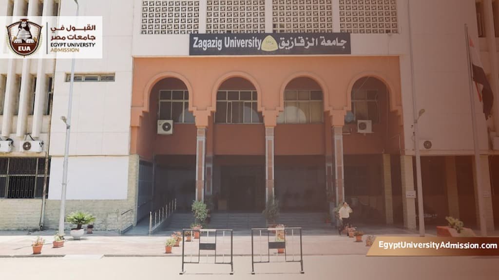 رسوم الطب في جامعة الزقازيق للوافدين