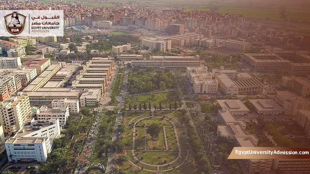 رسوم جامعة المنصورة كلية الطب للوافدين